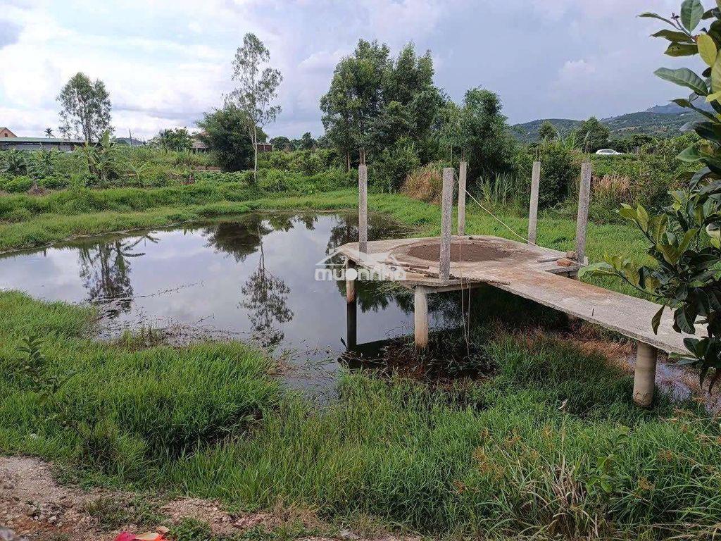 Đất đầu tư nghỉ dưỡng quá tuyệt - 3