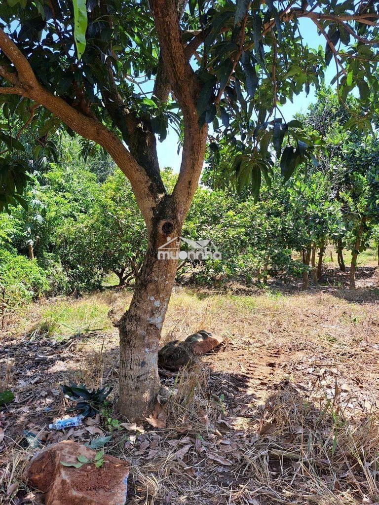 🌿 1.754m² túc trưng - 100m² thổ cư - mt 30m - giá tốt đầu tư! - 3