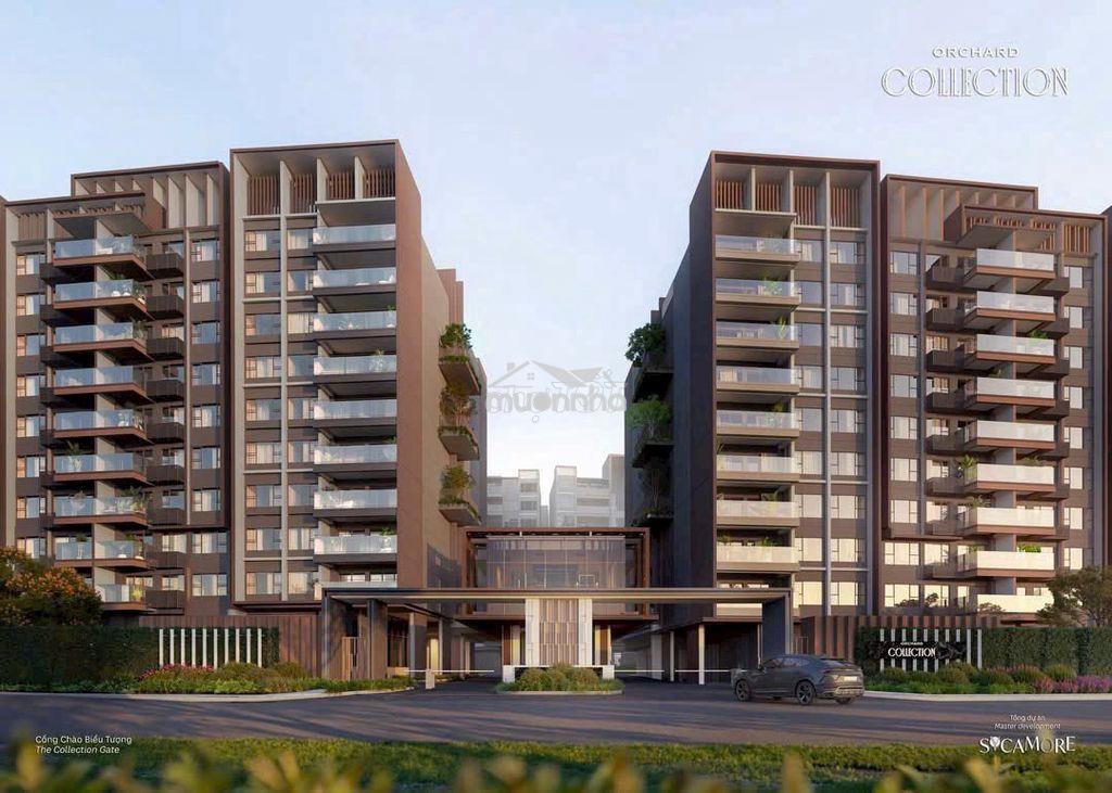 Orchar collection chỉ thanh toán 300 triệu trong năm 2026 lh*** - 3