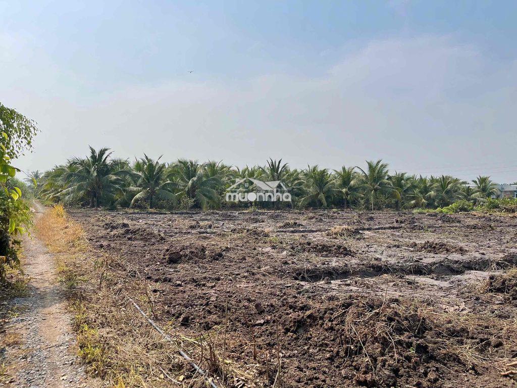 Bán đất dt816 xã bình đức long an - 4