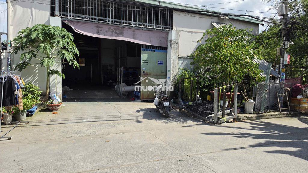 Xưởng cho thuê dt 600m2, có lửng, gần chợ chữ s, xã xuân thới đông - 2