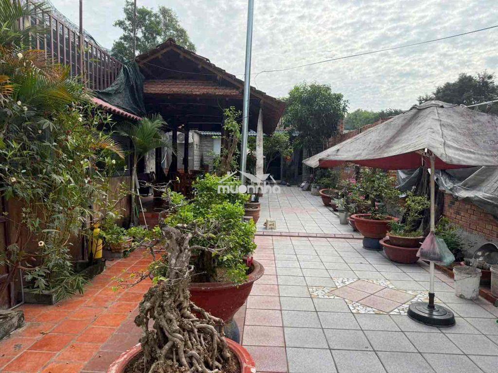Bán nhà mặt tiền ql13 ngay trung tâm bến cát - 2