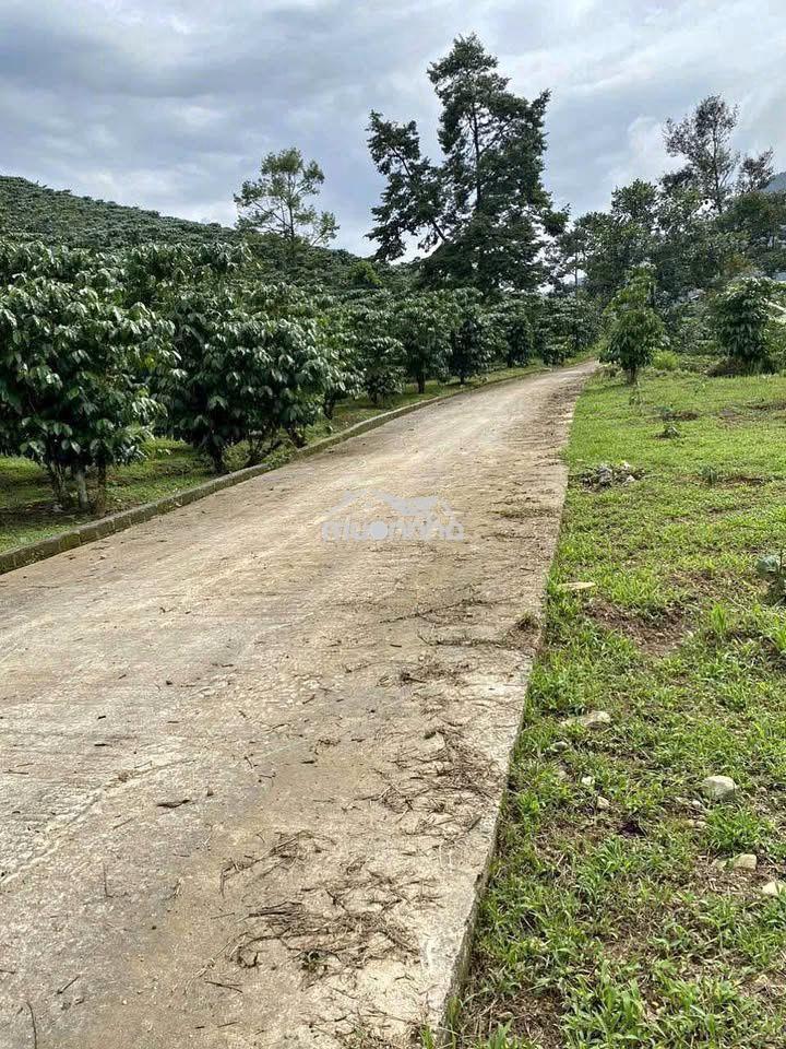 Rất cần bán đất vườn 4713 m2 tại đồng nai chính chủ, bán nhà vườn