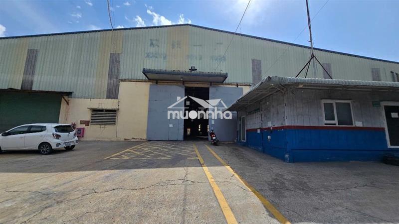 Cho thuê xưởng tân uyên 3200m, giá: 224 triệu , pccc tự động ,cụm s.x 