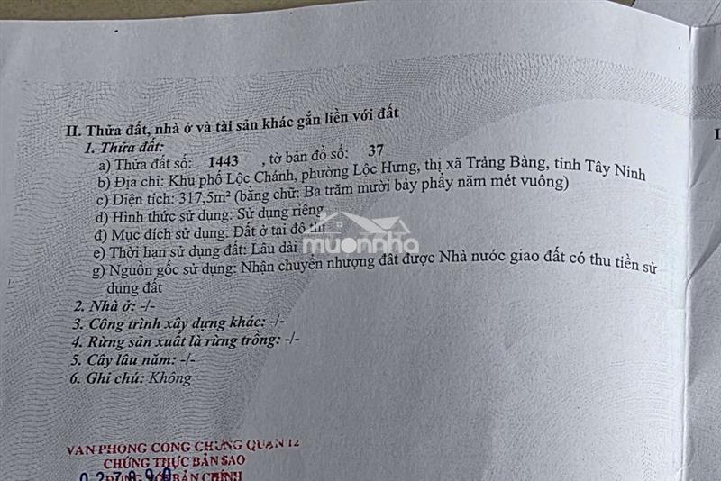 Cần bán đất ở đô thị - an tịnh, giáp với củ chi