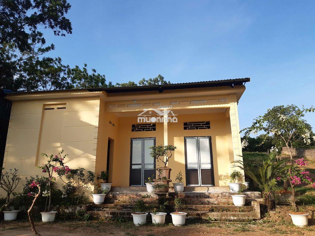 Cần bán nhà vườn 2193m²  chính chủ - ba vì, hà nội - 2