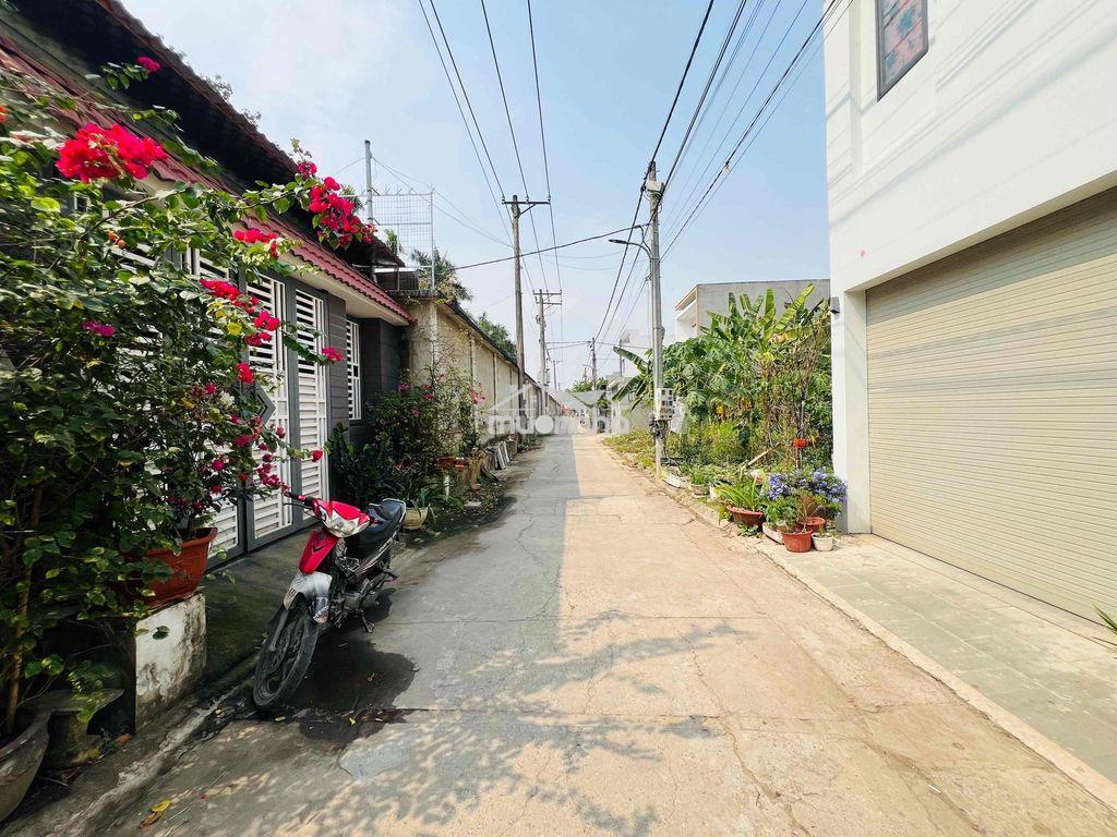 Đất 100m2 chùa phổ quang giá ngộp 1,7 tỷ sổ sẵn đường bàn cờ 6m thông - 4