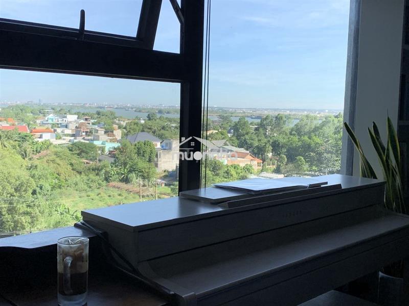 Cho thuê hoặc bán studio beverly solari