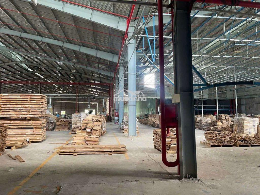 CHO THUÊ XƯỞNG 11.000M2 ĐẤT CUỐC TÂN UYÊN.BÌNH DƯƠNG - 2