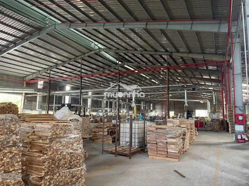 CHO THUÊ XƯỞNG 11.000M2 ĐẤT CUỐC TÂN UYÊN.BÌNH DƯƠNG