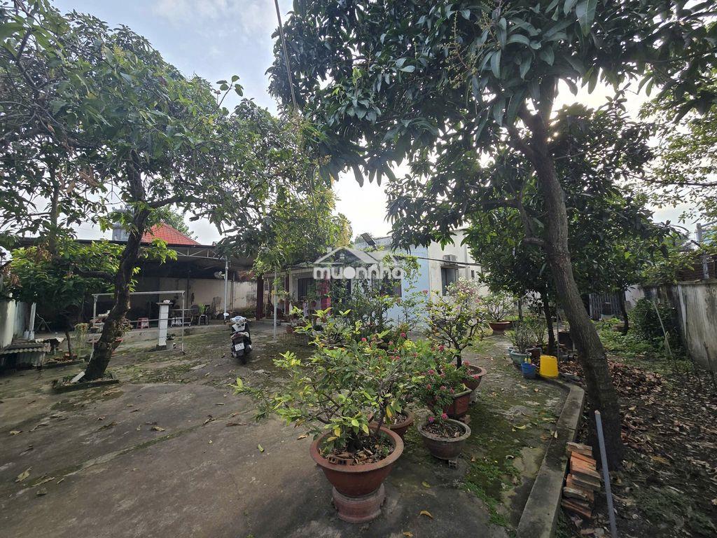 Bán đất chính chủ .  - 2