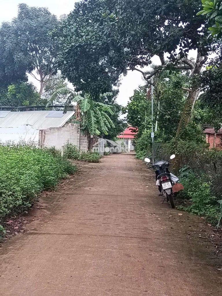 Hơn 400m2 full thổ cư bảo vinh - long khánh cách chợ chỉ 100 mét - 4