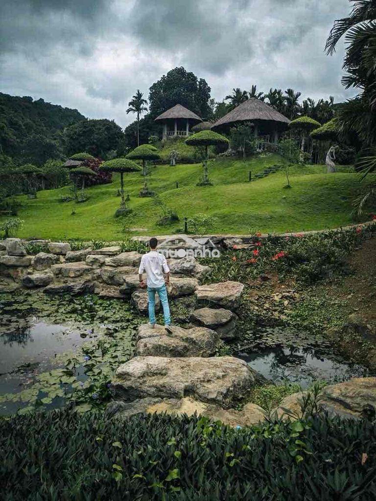Đảo đô thị hoa sen 3 mặt suối, view dựa núi. đặc biệt. - 4