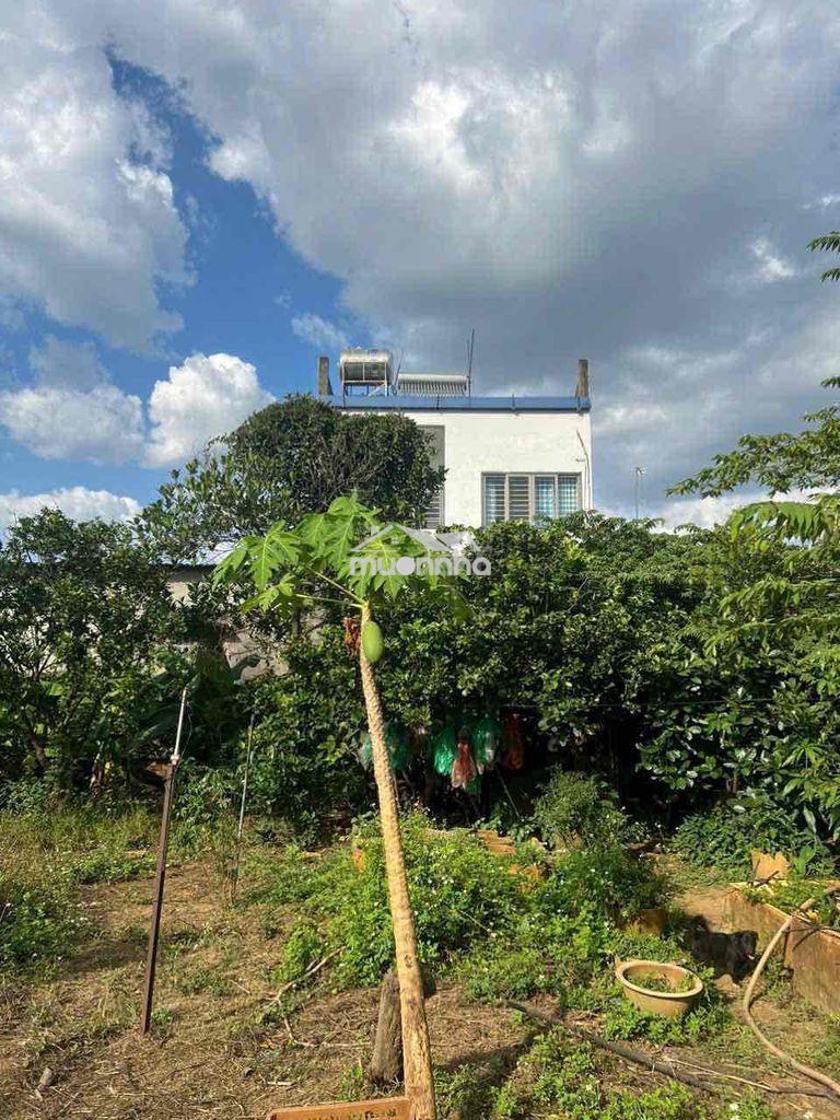 Đất xây nhà vườn hoặc phân lô - 3
