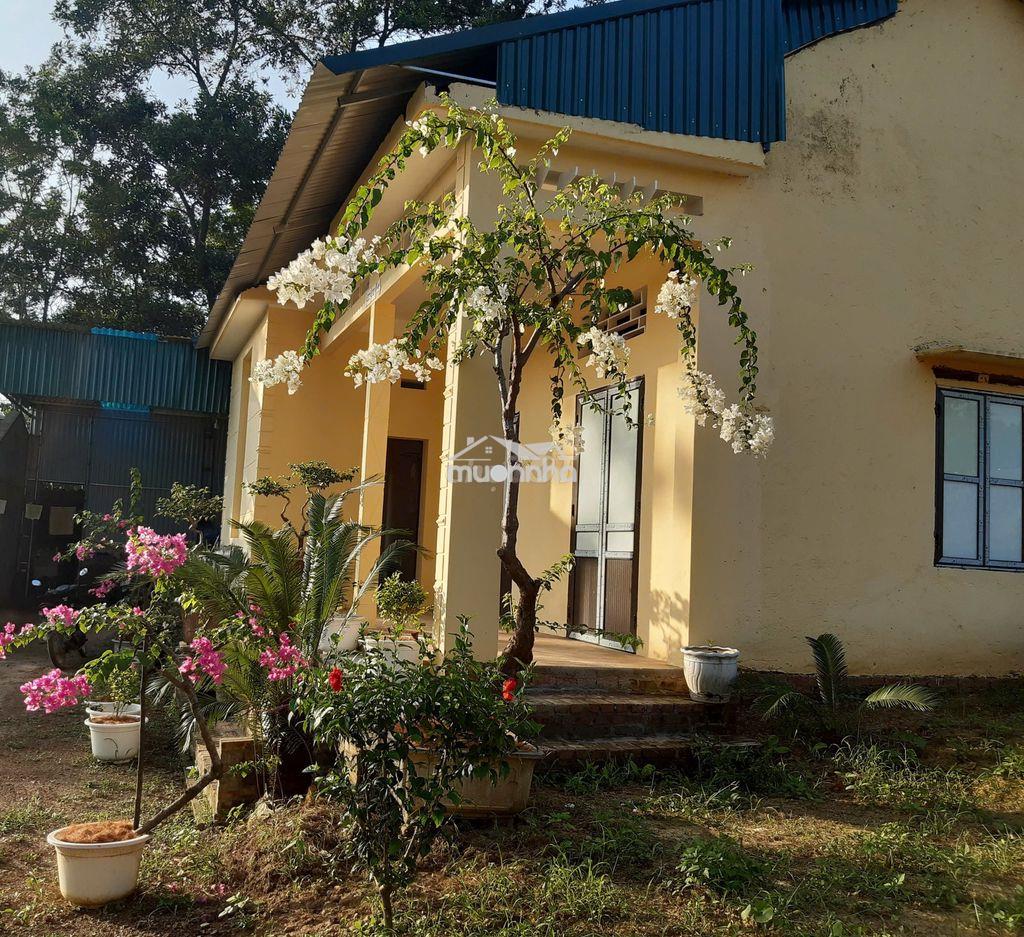 Cần bán nhà vườn 2193m²  chính chủ - ba vì, hà nội - 4