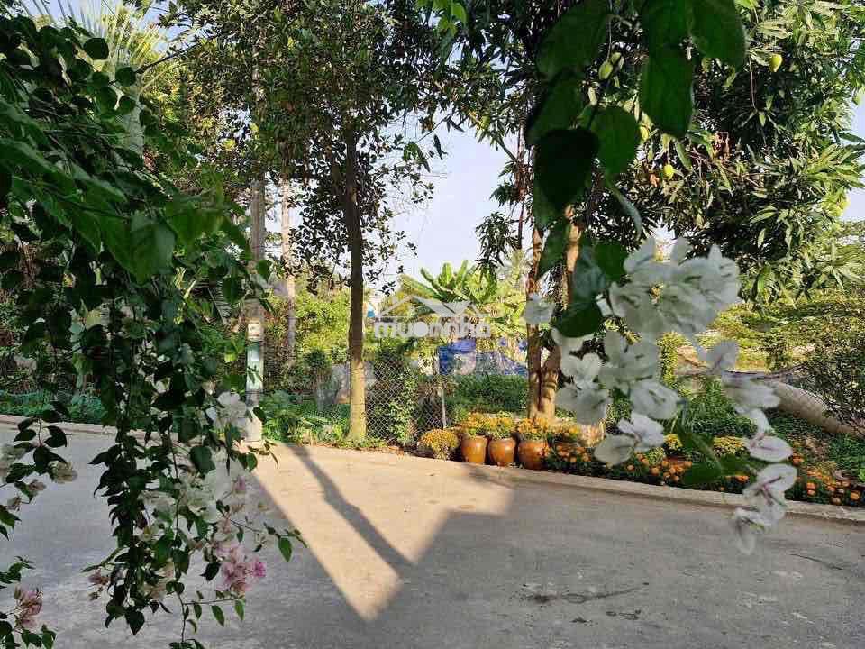 Gần lò lu - vinhomes grand park q9 - 3lầu 4pn full nội thất- đường ôt - 3