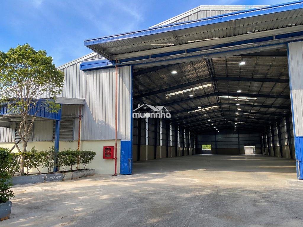 Cho thuê nhà kho 760m² tại cẩm lệ – sẵn điện 3 pha – giá chỉ 37 triệu - 3