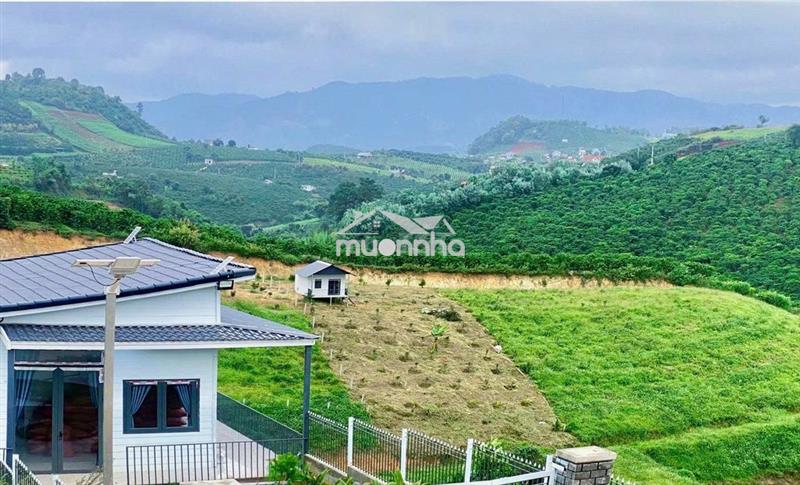 Bán gấp 2 sào đất xã nam hà cách đường nhựa chỉ 200m chỉ 999 triệu