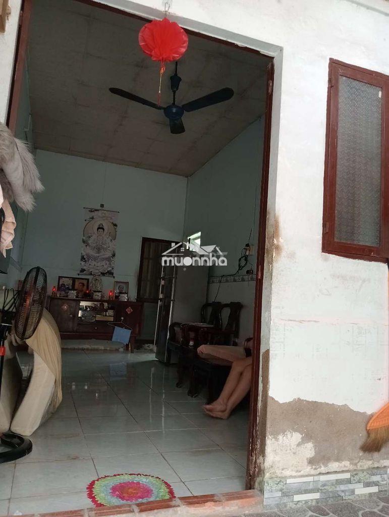Vợ chồng tôi về quê chăn nuôi  - 4