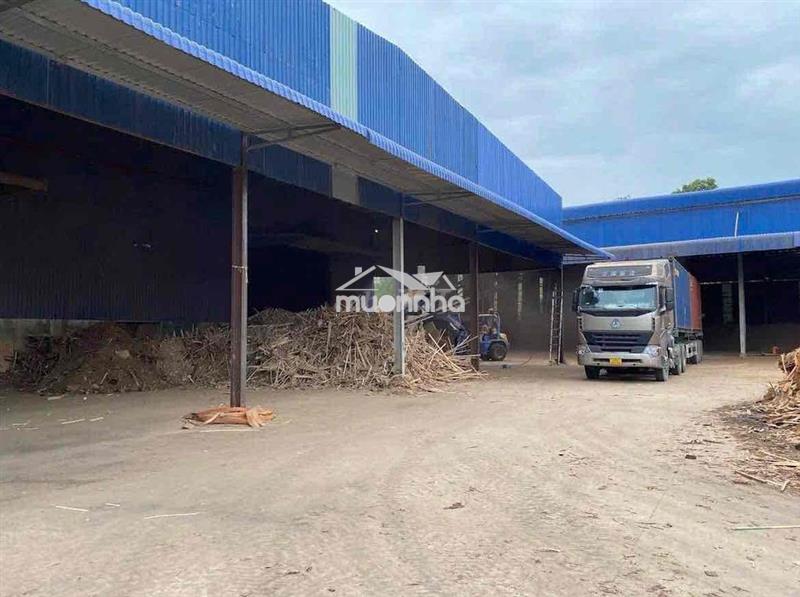 Cho thuê xưởng phú giáo bình dương