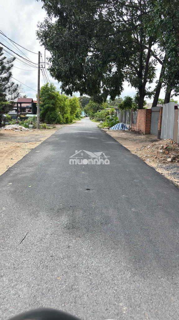 Nhà bán hẻm ba gát gần chợ chiều tân thạnh đông - 2