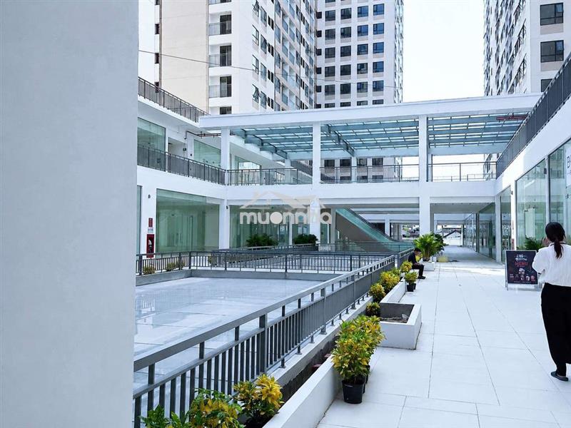 🏢 🏢 Cho thuê shophouse vị trí đẹp, kinh doanh tiềm năng