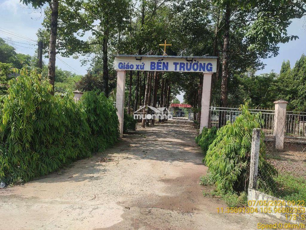 Đất bến trường - hảo đước - tây ninh - 3