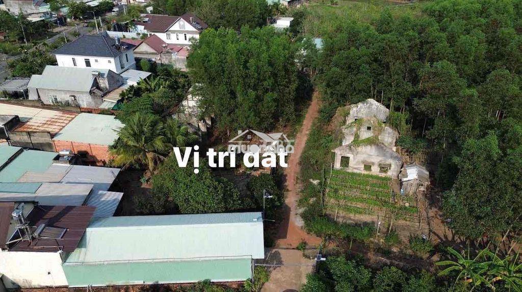 🏡Hàng siêu đặc biệt, đất tt vĩnh an 455m² giá 210tr gần hồ trị an, shr - 4