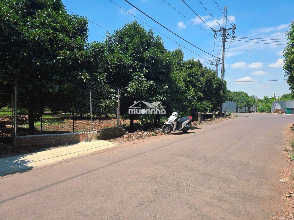 Còn 1 sổ cuối mặt tiền đường nhựa - ngay tt dầu giây - chỉ 850tr - shr - 2
