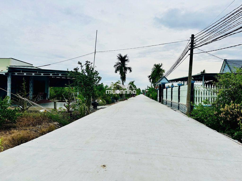 Bán đất đường tl 816 chỉ 370 triệu 1 sổ 500mv vườn. bến lức - tây ninh - 3