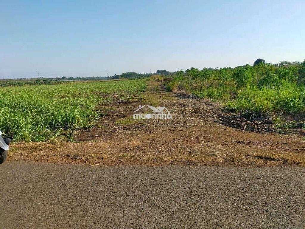 1000m2 giá 590tr đường hiện hữu 4m - 3