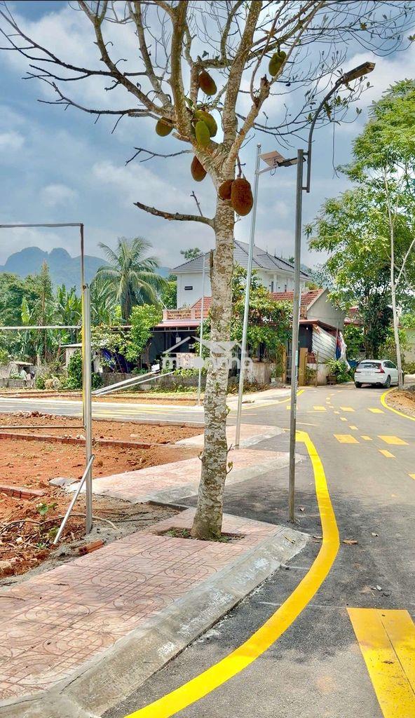 Bán nhanh đất trung tâm phố cổ ngọc lặc, view hồ giá chỉ 578 triệu - 3