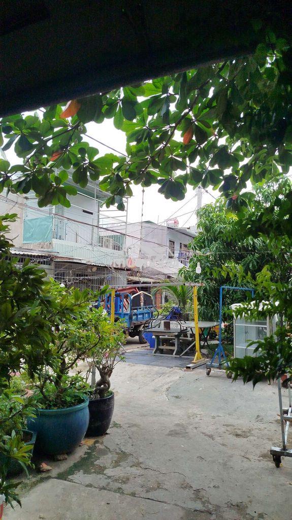 Nhà cố cao lỗ - 3