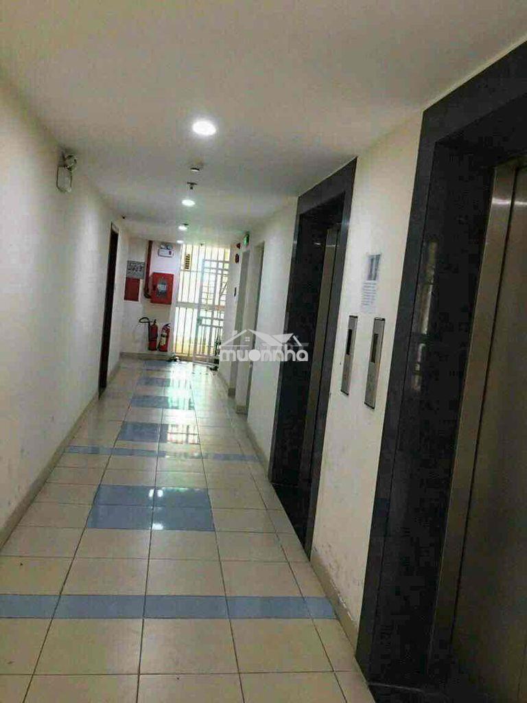 Căn hộ chung cư đông hải 54m2 2pn sổ hồng riêng - 3