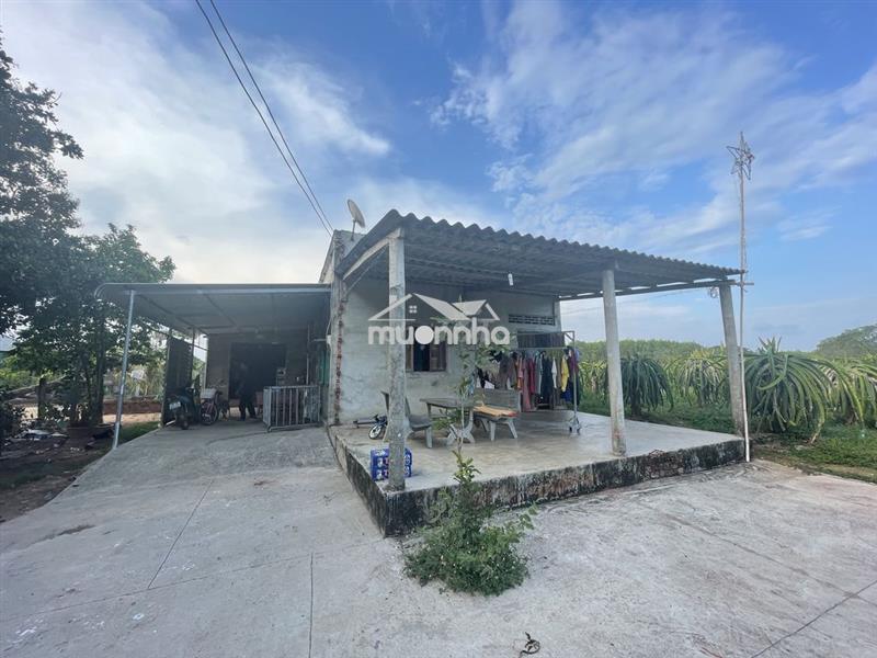 Chính chủ_bán 2043m2 đất phủ hồng nhà thờ bông trang, cách ql 55 300m