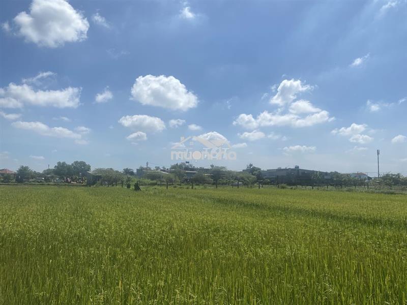 🚨Chính chủ sang nhượng đất nông nghiệp 1.000m² xã vĩnh lộc – tp. hcm