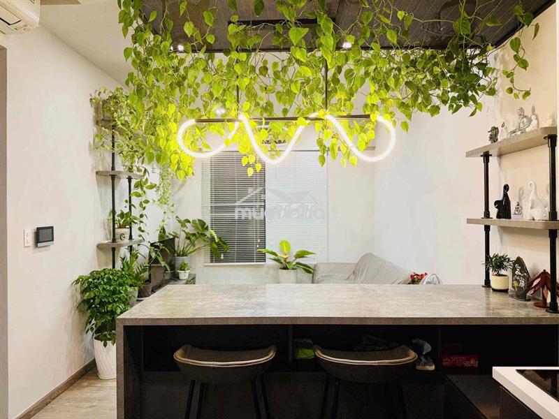 🎉 Đầu th8 vào ở 56m full nt chốt cọc giữ căn 10triệu tại akari city