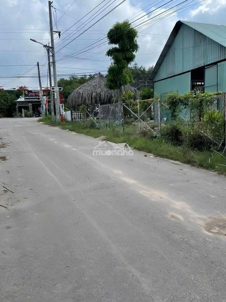 Kẹt tiền bán gấp - 2