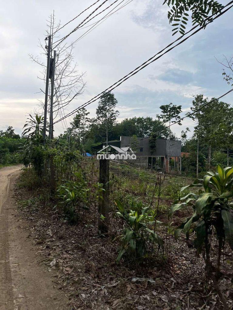 Bán đất phú ngọc gần kdl đá ba chồng - 2