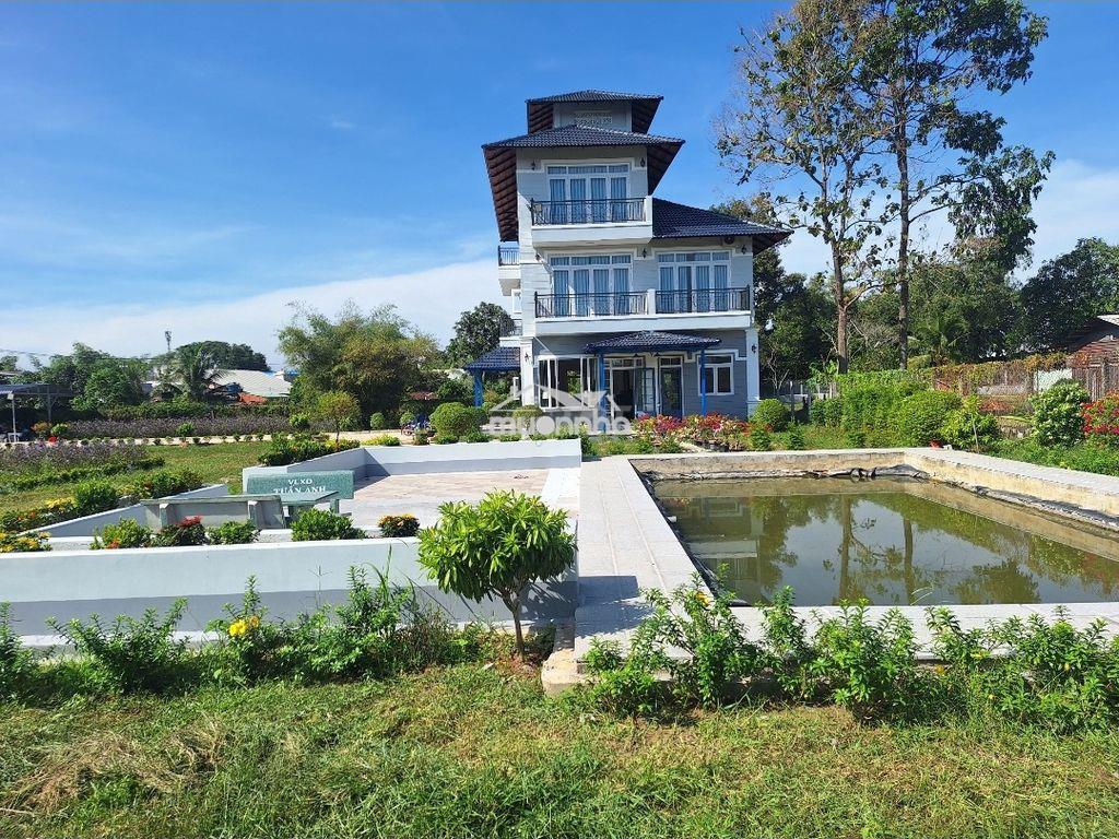 Mua đất có sẵn biệt thự sân vườn - 2