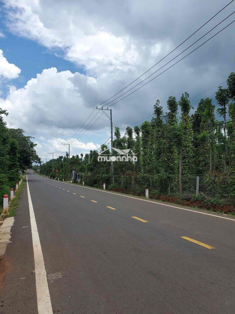 Bán đất 9260m2 xã lâm san, huyện cẩm mỹ (chính chủ) - 3