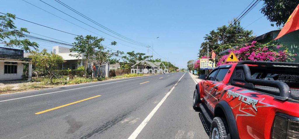 1000m2 mt dt998 hồ tràm, đất vuông vức, nở hậu. tiện làm homestay ở - 3