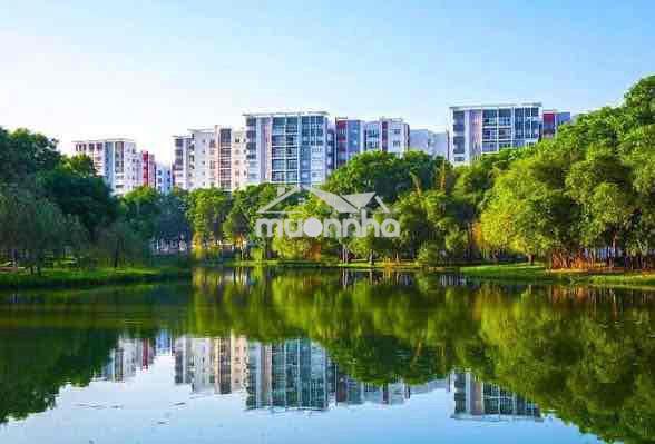 Cho thuê căn 2pn 2wc dt 63m2 khu ruby celadon city tân phú