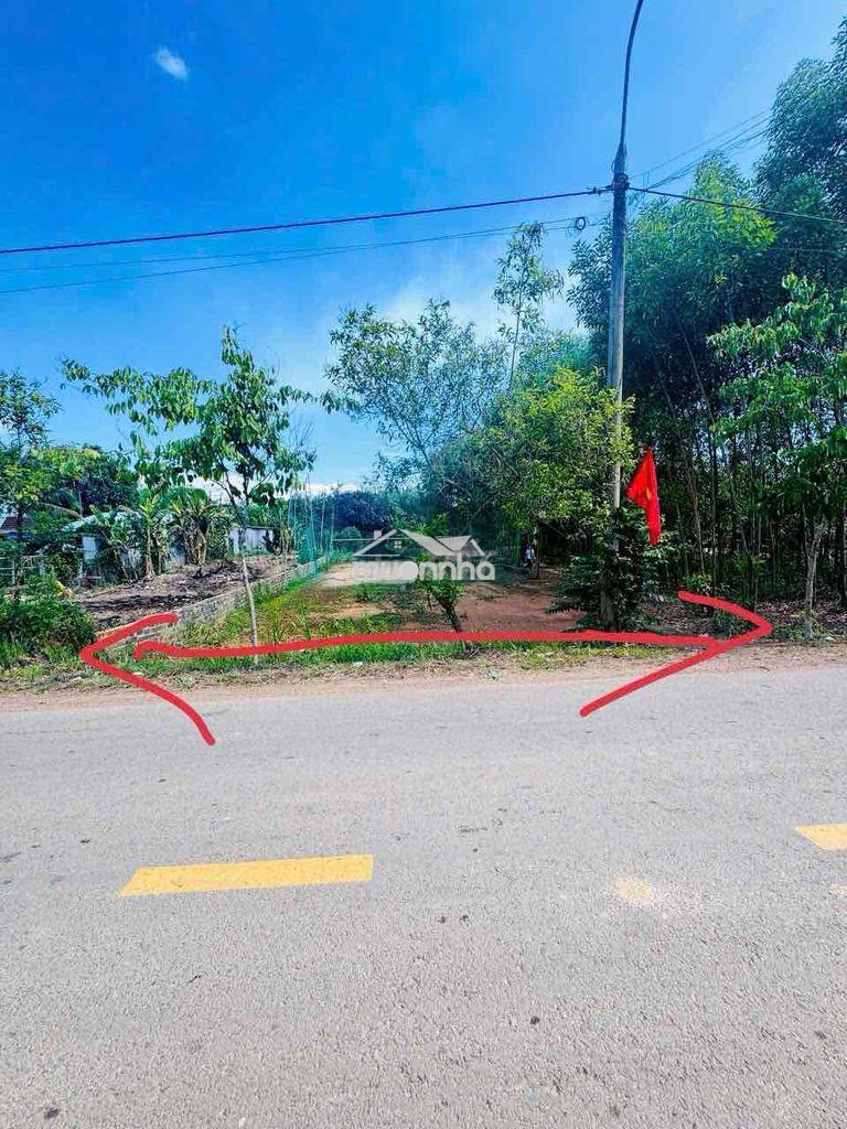 Bán gấp đất kẹt ngân hàng - 3