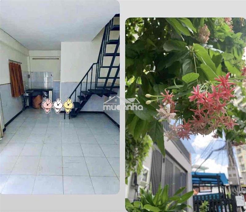 Nhà nhỏ xinh, ngay xvnt hàng xanh giá bình dân, 1 trệt 1 lầu ok