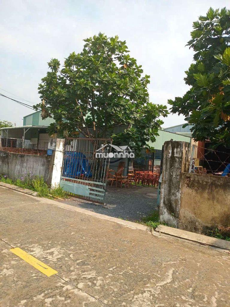 Đất mặt tiền giá như trong hẻm thạnh lộc, quận 12 - giá f0 - 3