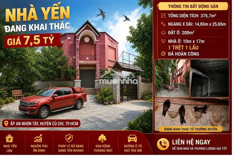 Bán gấp nhà nuôi yến đang khai thác – 375,7m² – hoàn công – giá 6 tỷ