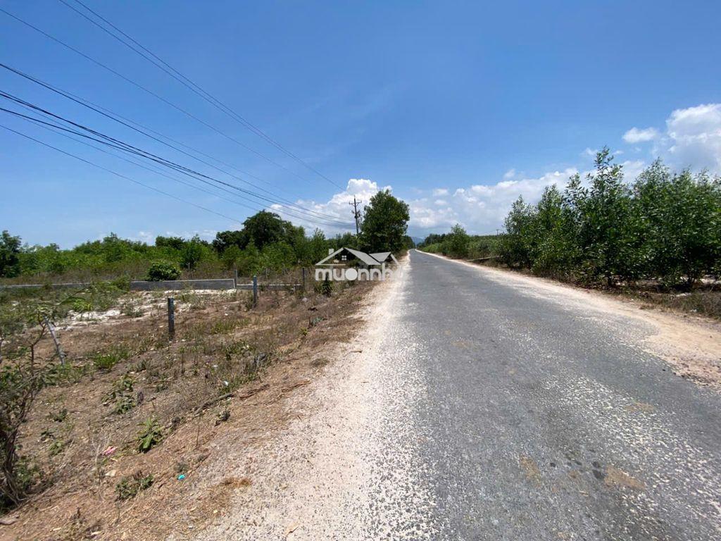 Mặt tiền rộng 25m - lý tưởng làm kho bãi, xưởng sản xuất - 4