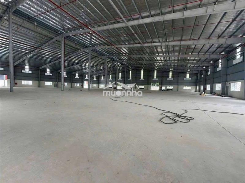 Cho thuê xưởng 11500m2.bàu bàng bình dương.giá 60k/ m2