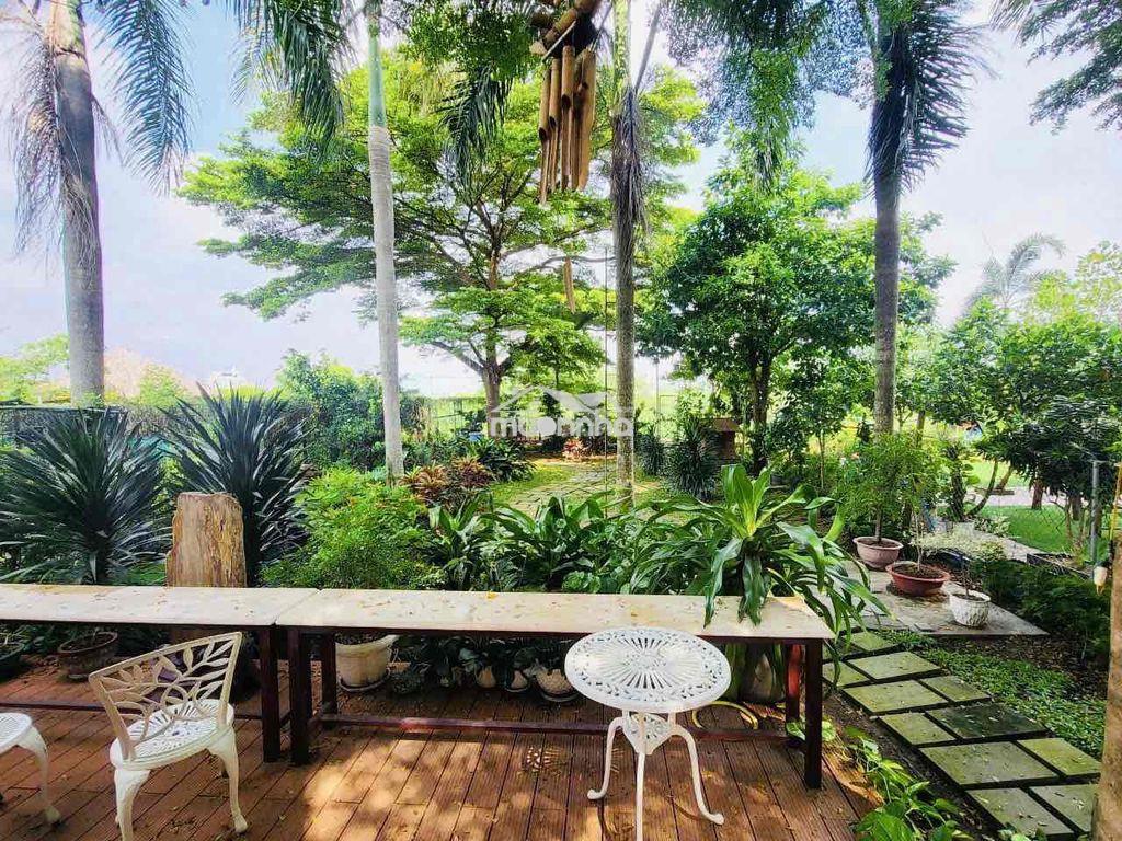 Biệt thự sân vườn 400m2 đất đầy đủ nội thất siêu đẹp 4 phòng master - 4